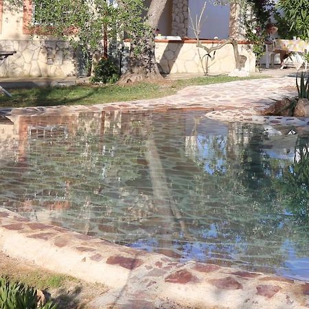 Villa Oleandro Ciccino Vieste Buitenkant foto