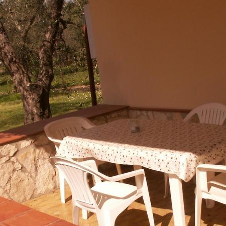 Villa Oleandro Ciccino Vieste Buitenkant foto