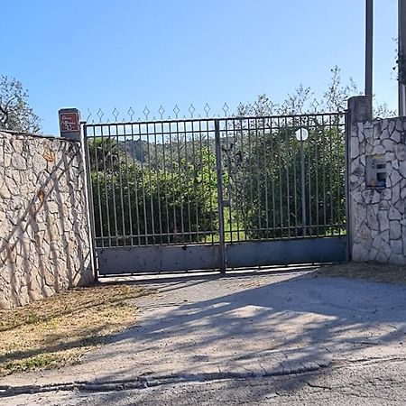 Villa Oleandro Ciccino Vieste Buitenkant foto
